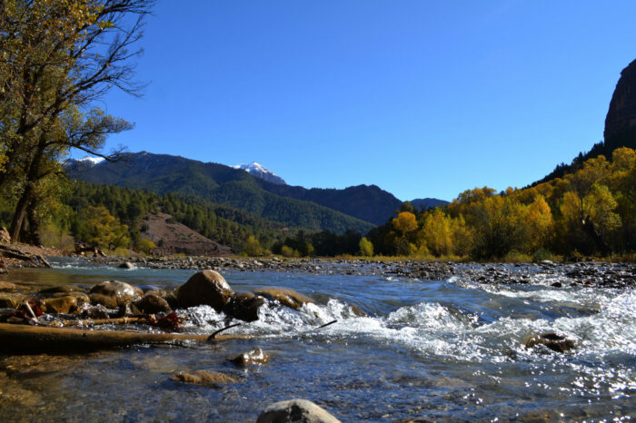 Imsfrane – Les singes de la Cathédrale